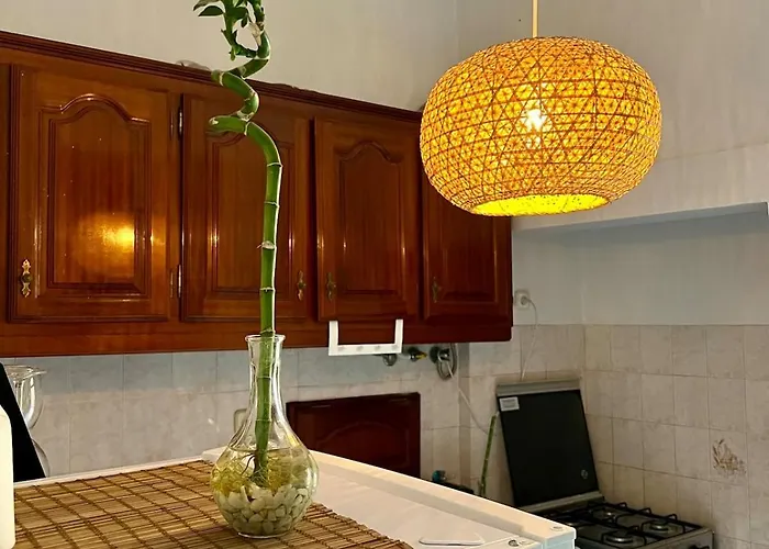 Daire Spacious T4 With Iconic Tram 28 View